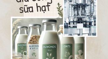 Gia Công Thực Phẩm Bổ Sung Sữa Hạt: 10+ Xu Hướng Hot