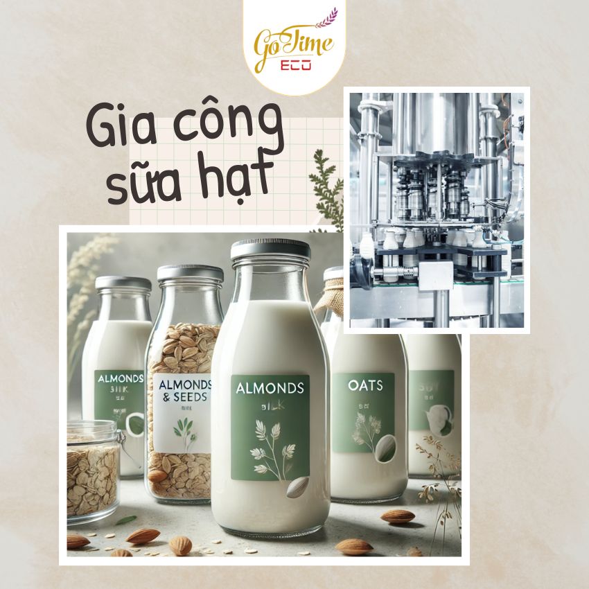 Gia công thực phẩm bổ sung sữa hạt