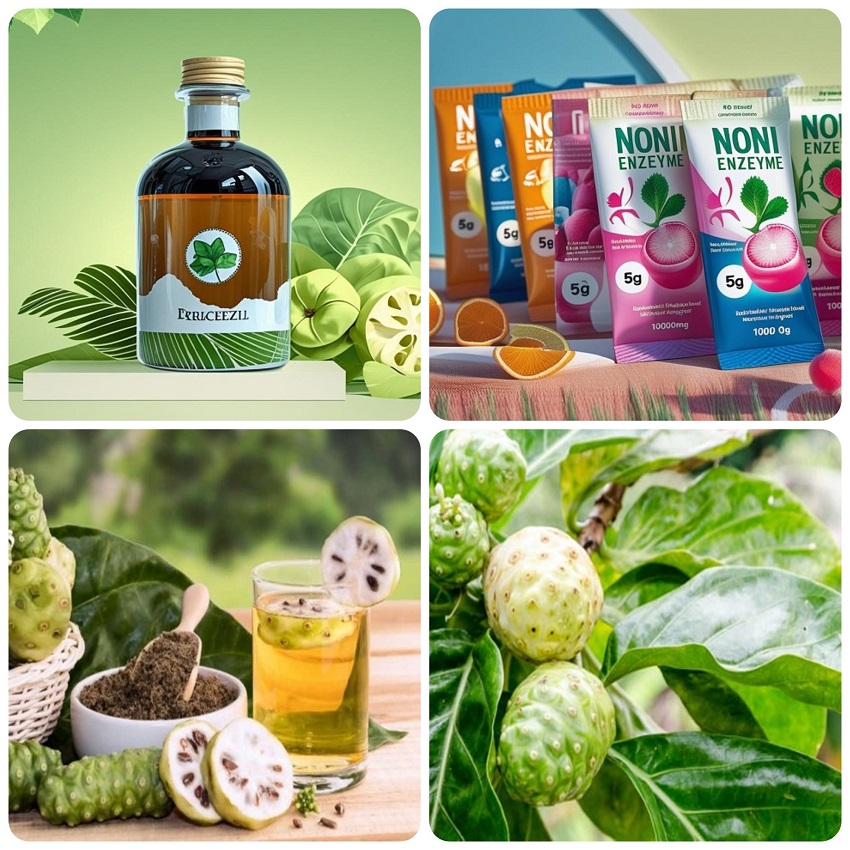 gia công nước cốt nhàu (Noni) Enzyme