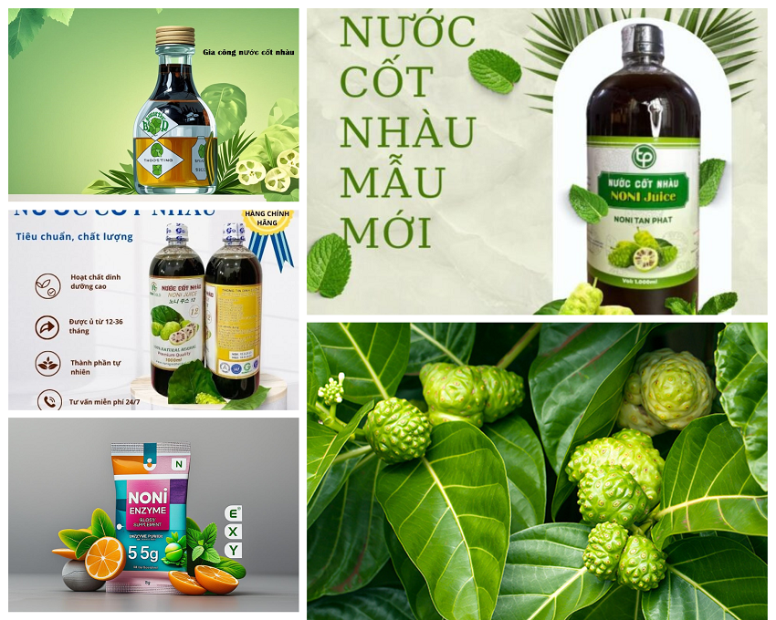 gia công nước cốt nhàu (Noni)